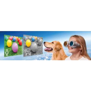 Zobacz świat oczyma zwierząt - magiczne okulary