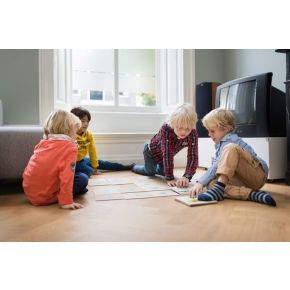 BS Toys, Gra Flagi państwa