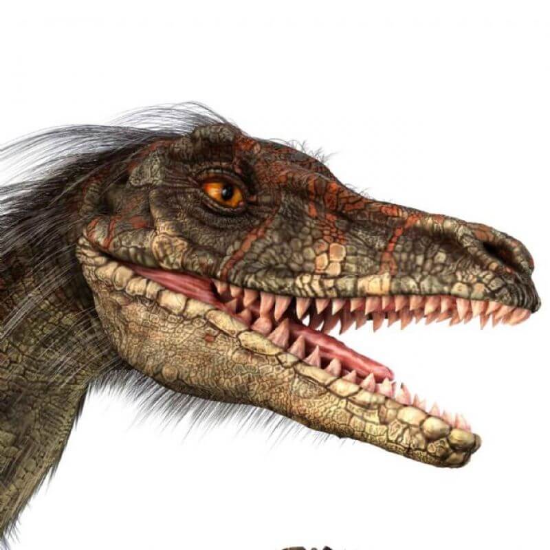 Projektor - Dinozaury
